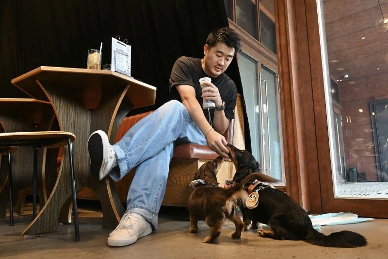 一人卡拉OK：中国万亿美元的“孤独经济”揭示了世界未来的一角